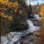 DuPont State Recreational Forest
