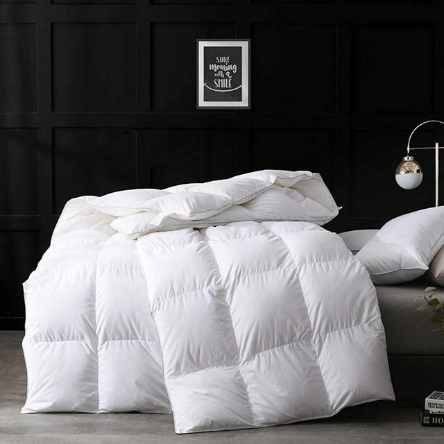 APSMILE Ultra-Soft Egyptian Cotton Goose Down Comforter Full/Queen Duvet - All Season 750 Fill-Power Medium Warm Hotel-Style European Goose Down Feather Comforter Insert with Tabs (90x90, White)
