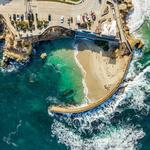 Children's Pool La Jolla