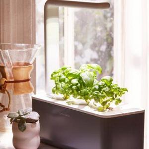 Click & Grow Smart Herb Garden 3 Starter Kit