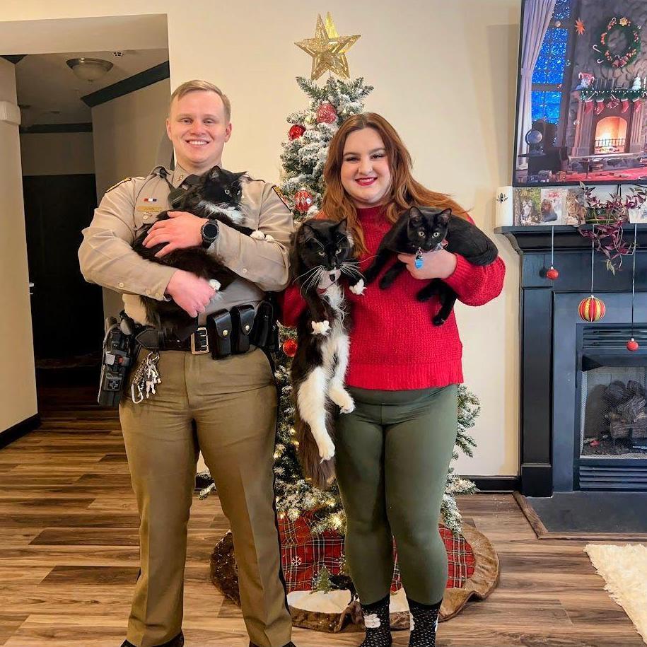 Merry Catmas 2022