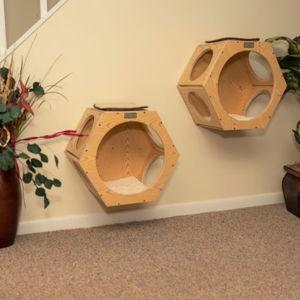 Wood Cat Wall Additions