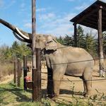 Columbus Zoo and Aquarium