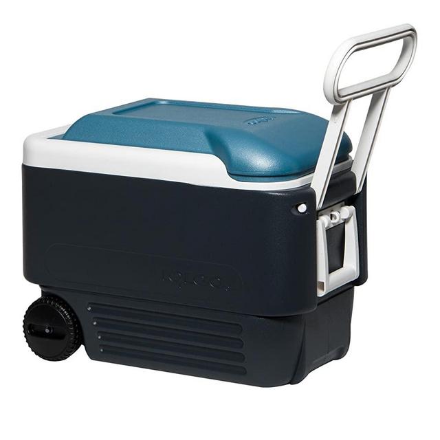 Igloo Maxcold Cooler