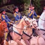 Dolly Parton's Stampede