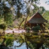 Micke Grove Park Japanese Tea Garden and Zoo