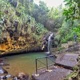 Annandale Waterfall & Forest Park