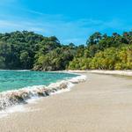 Tamarindo