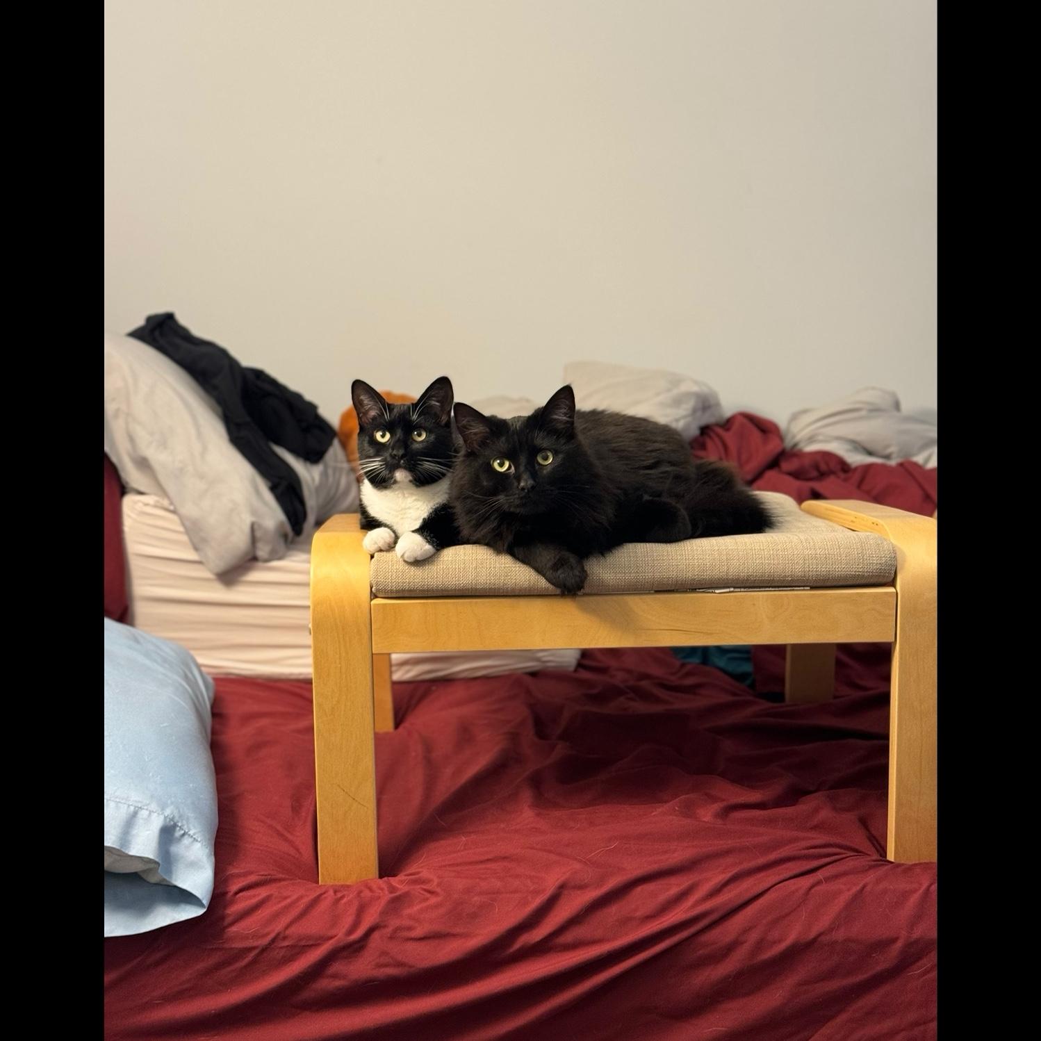 Billie and Jager are best friends that constantly get themselves into trouble.