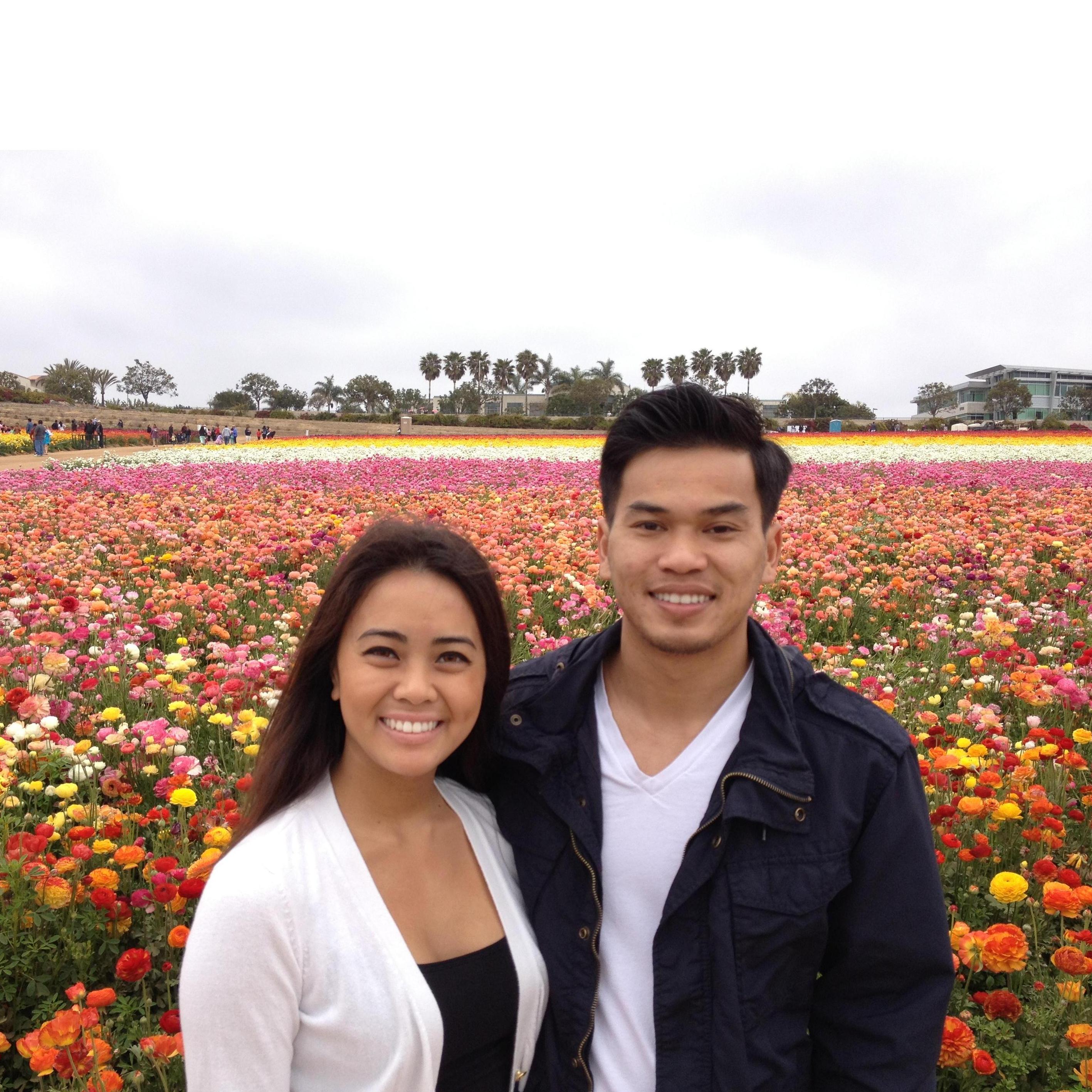 Carlsbad Flower Fields