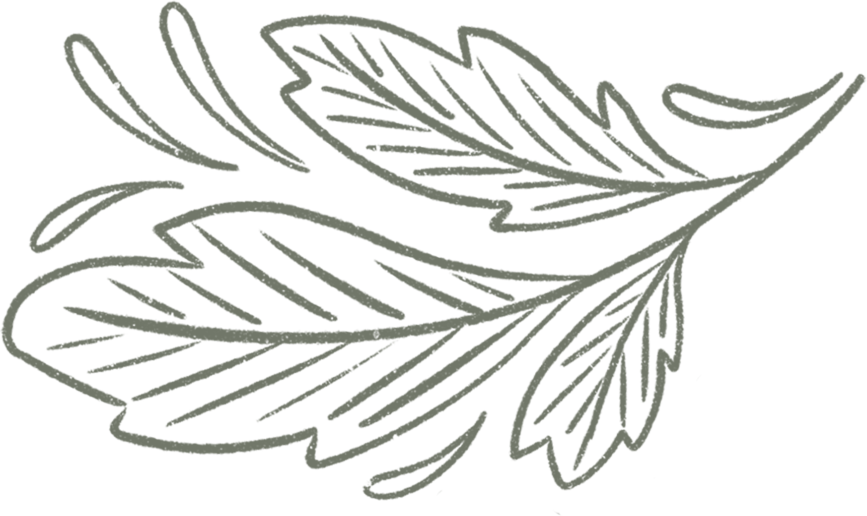 Julie welch and colten perry s wedding website