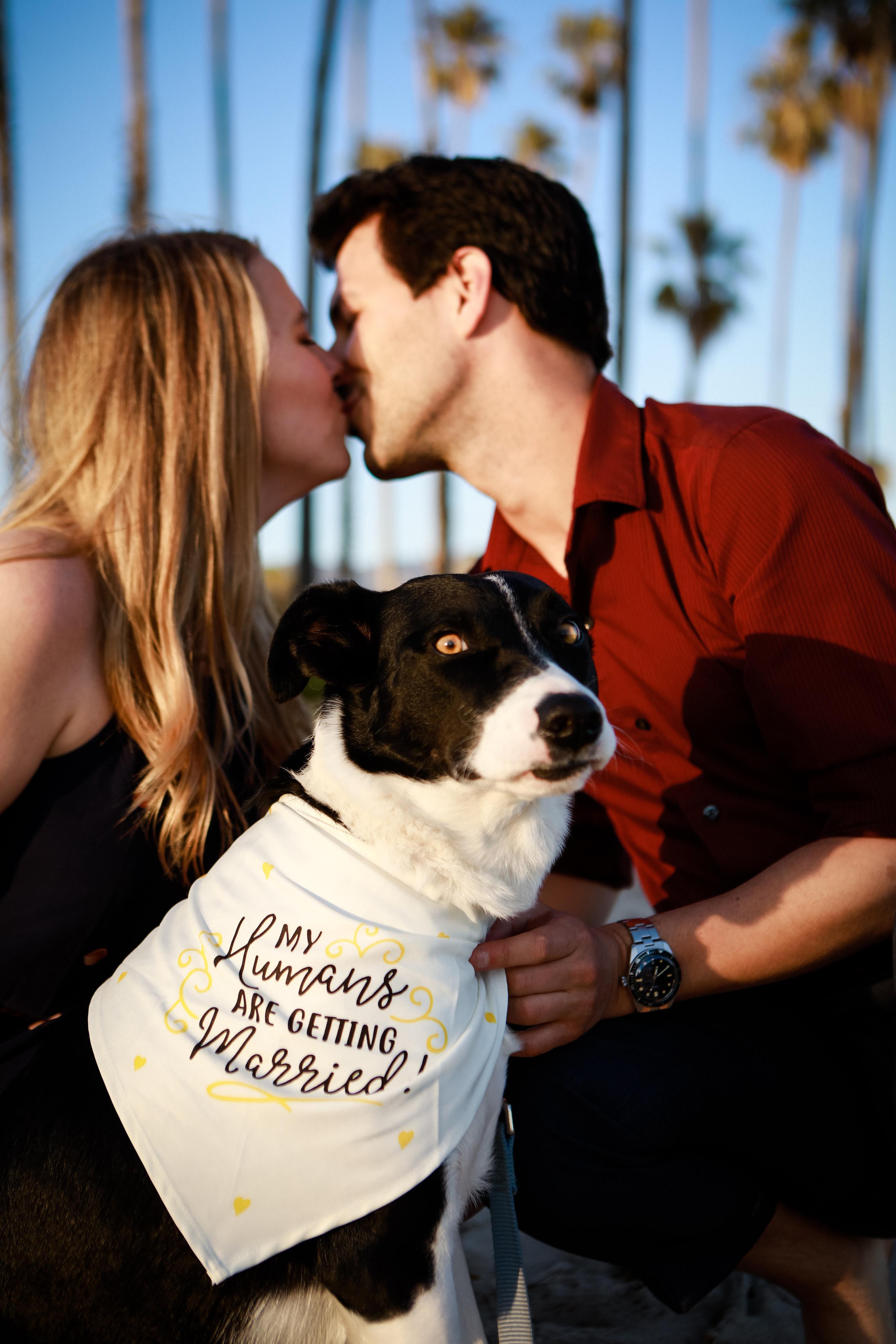 The Wedding Website of Megan Rayzor and Eric Whelan