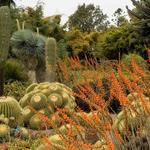 The Huntington Library, Art Museum, and Botanical Gardens