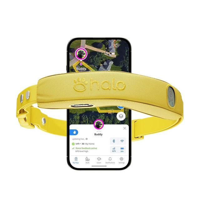 Halo Collar 4, All New GPS Wireless Dog Fence & Dog Training Collar with GPS Tracker, Waterproof, One Size (4 Colors)