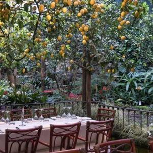Dinner at O'Parrucchiano La Favorita in Sorrento Italy