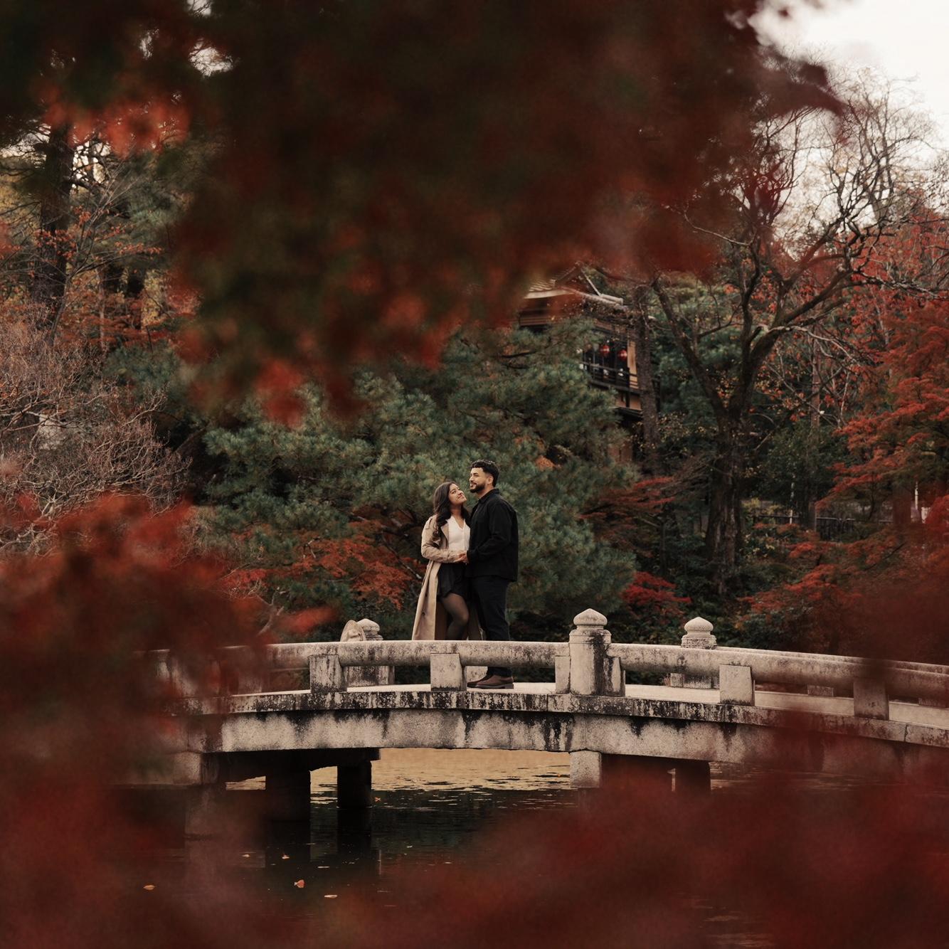 Engagement photos