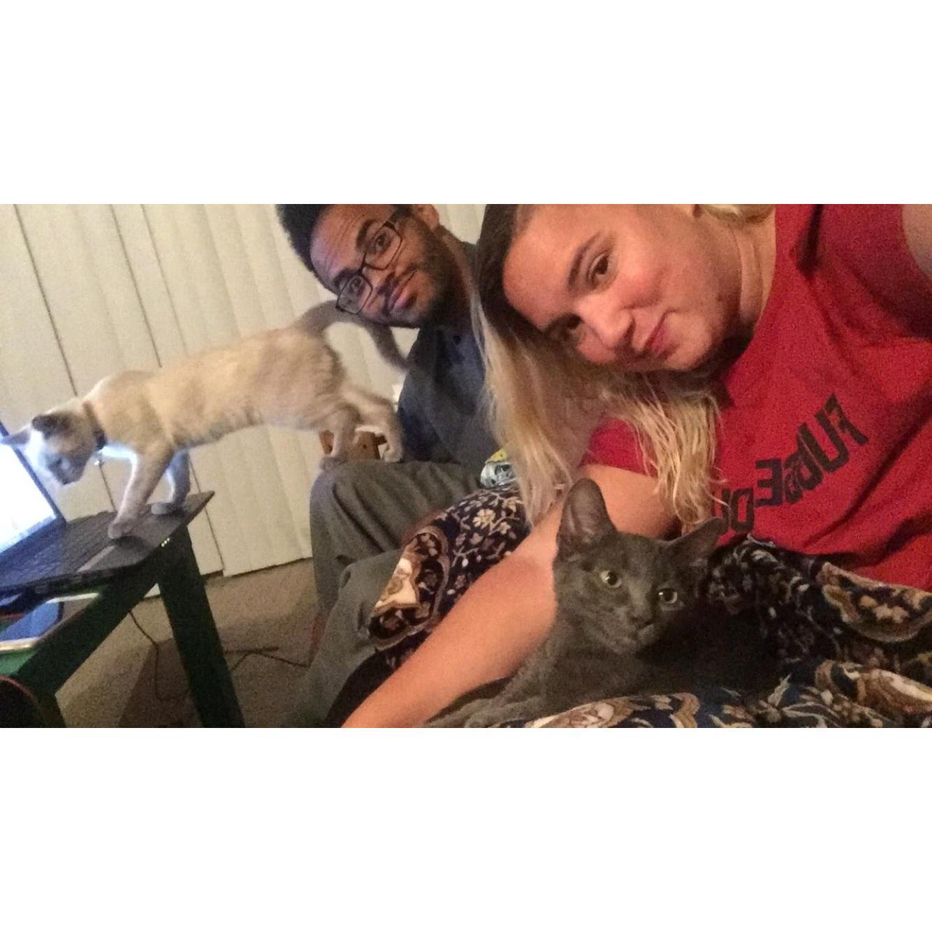 Fur Family
