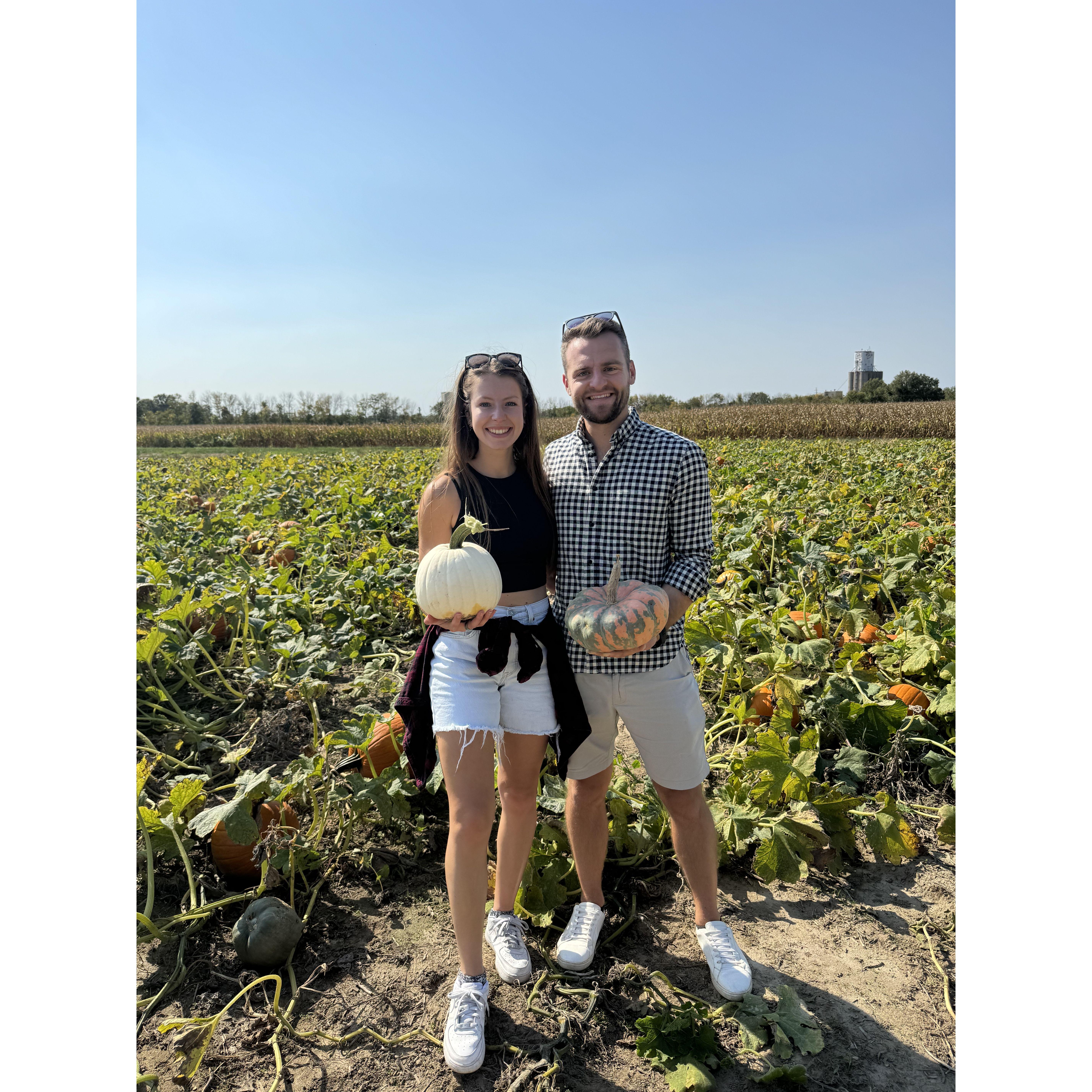 Pumpkin picking at Eckerts Orchards.