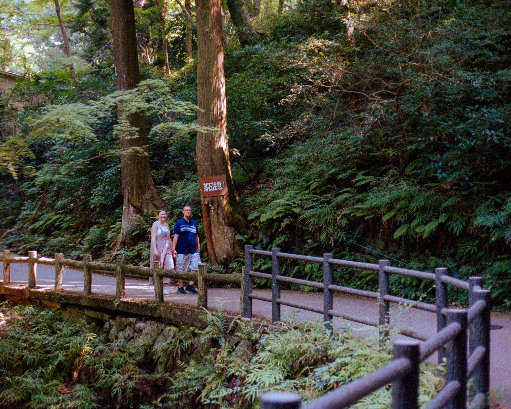 The Wedding Website of Megan Carpenter and Daniel Reynolds