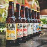 Baja Brewing Company