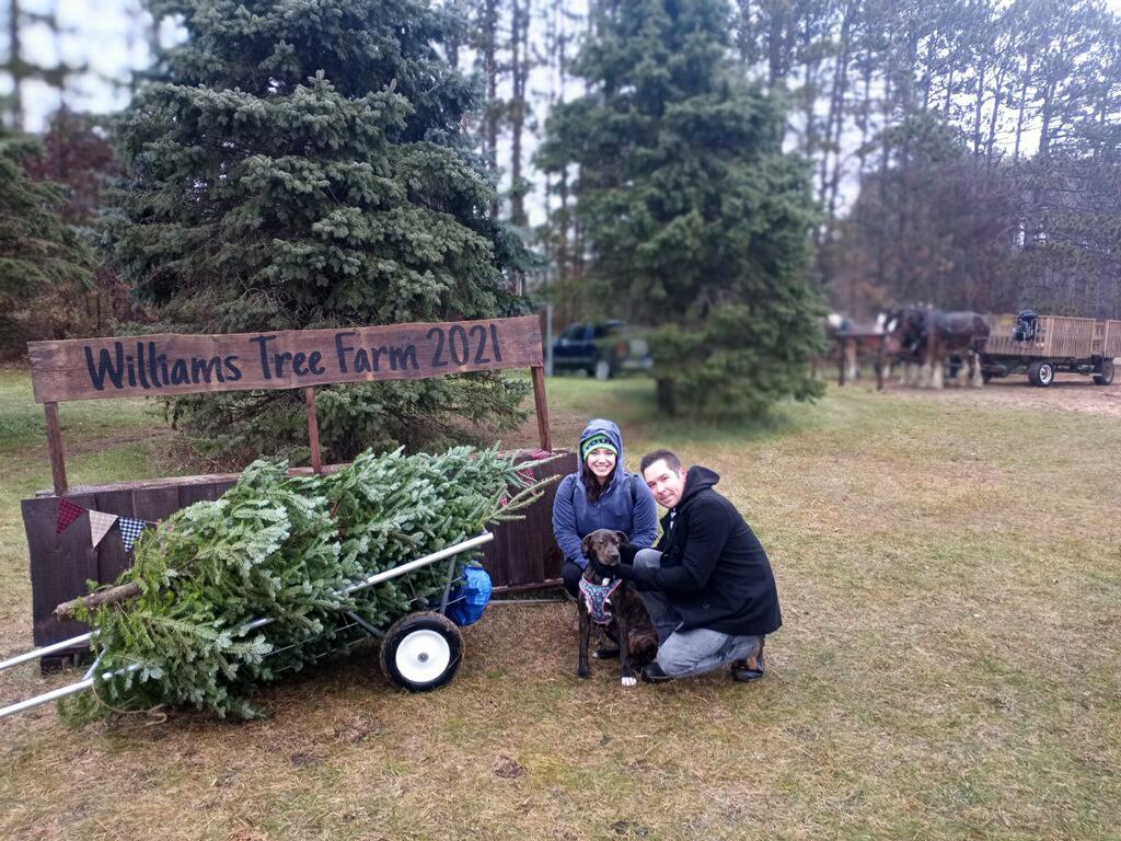 Annual Christmas Tree cutting