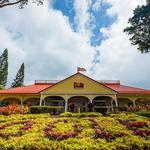 Dole Plantation