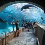 St Louis Zoo