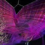 Kaleidoscope Butterfly Park