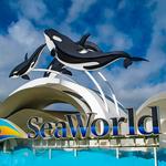 SeaWorld Orlando