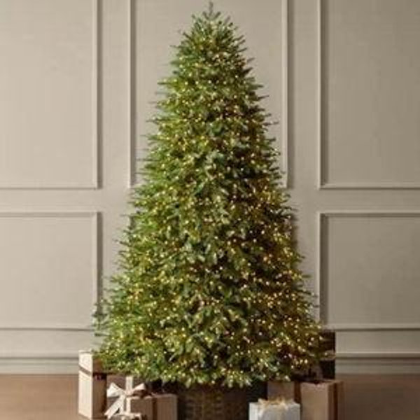7.5 ft. Grand Duchess Twinkling Balsam Fir LED Pre-Lit Artificial Christmas Tree, Unflocked