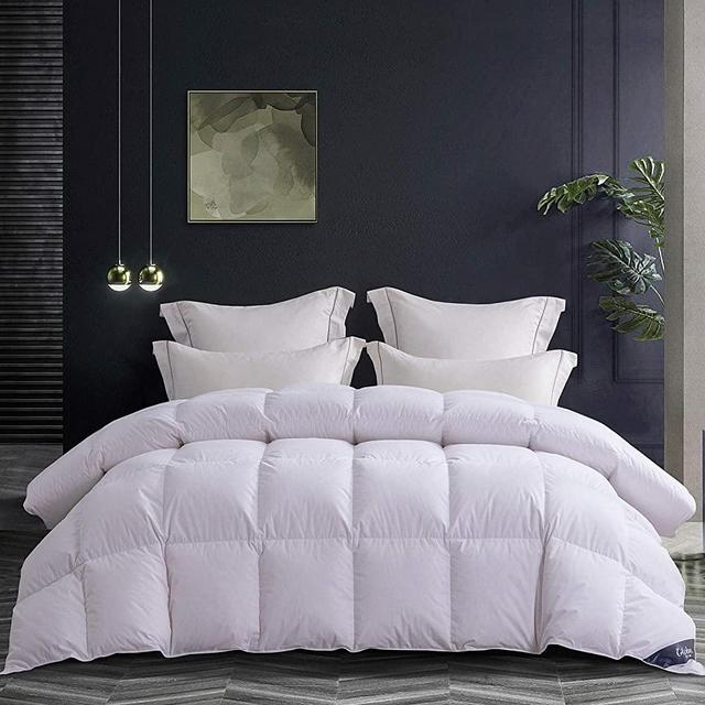 Globon Goose Down Comforter Queen Size All Season Duvet Insert Ultra-Soft 100% Cotton, 38OZ,650 Fill Power, Medium Warmth Hypoallergenic with Corner Tabs, White.…