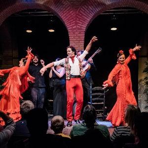 Honeymoon Excursion - Seville: Flamenco Show + Dinner