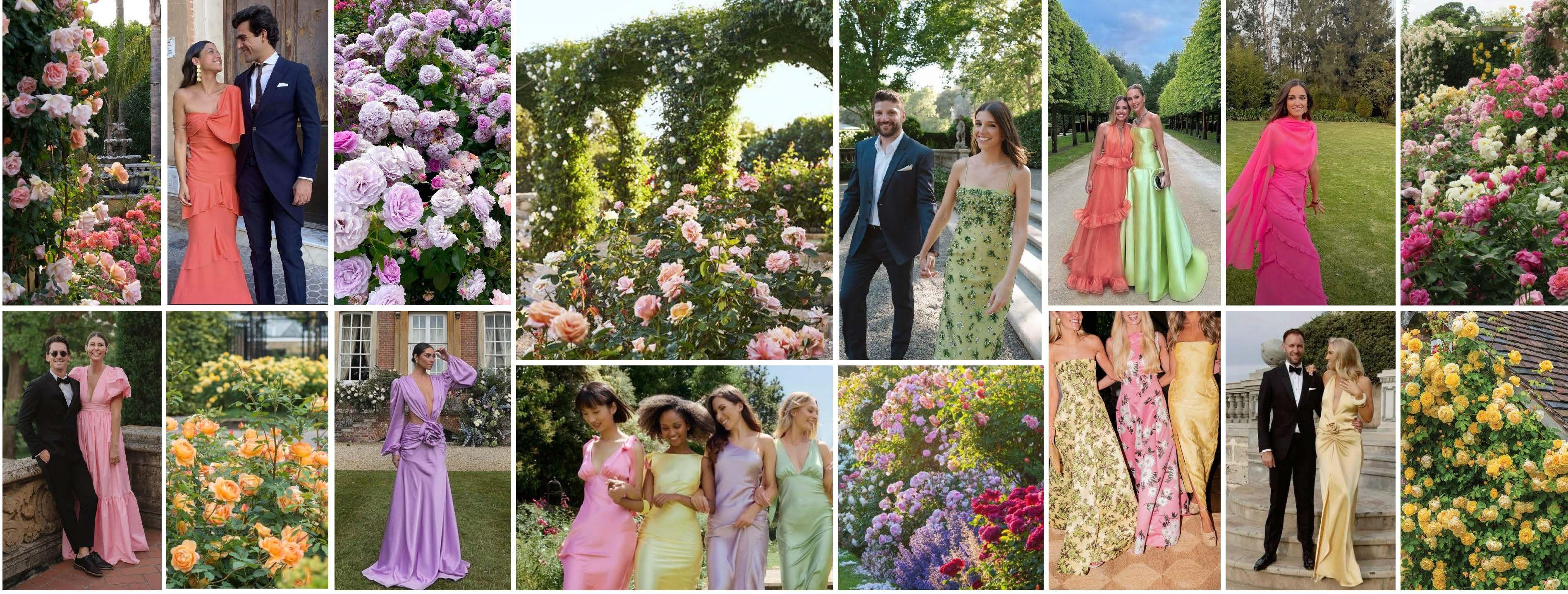 The Wedding Website of Maria Stoian and Maurits van Roozendaal