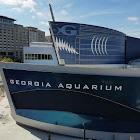 Georgia Aquarium