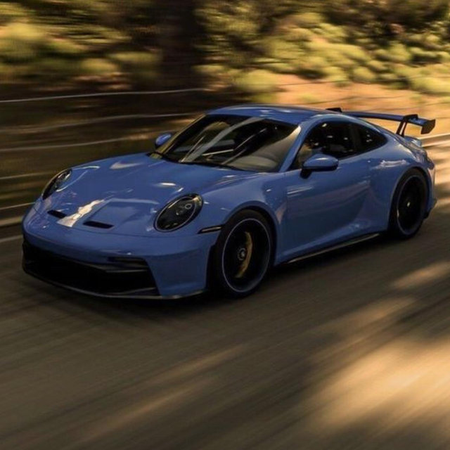 Porsche 911 Fund 😎