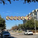 The Domain