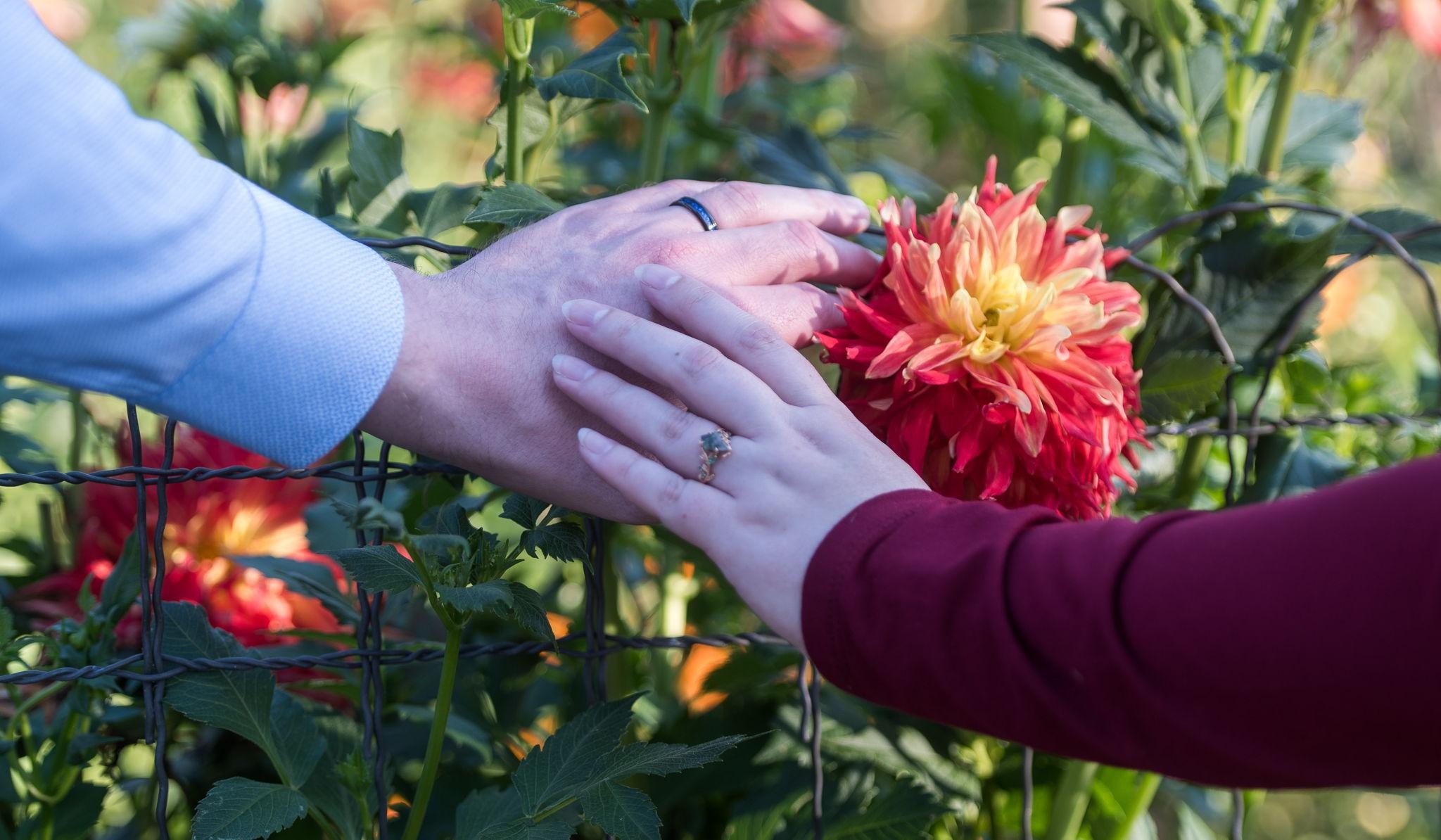 Hero Slideshow Image 0