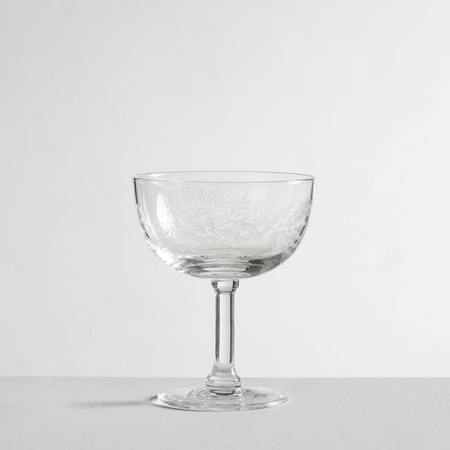 Monique Lhuillier Gabrielle Etched Coupes, Set of 4
