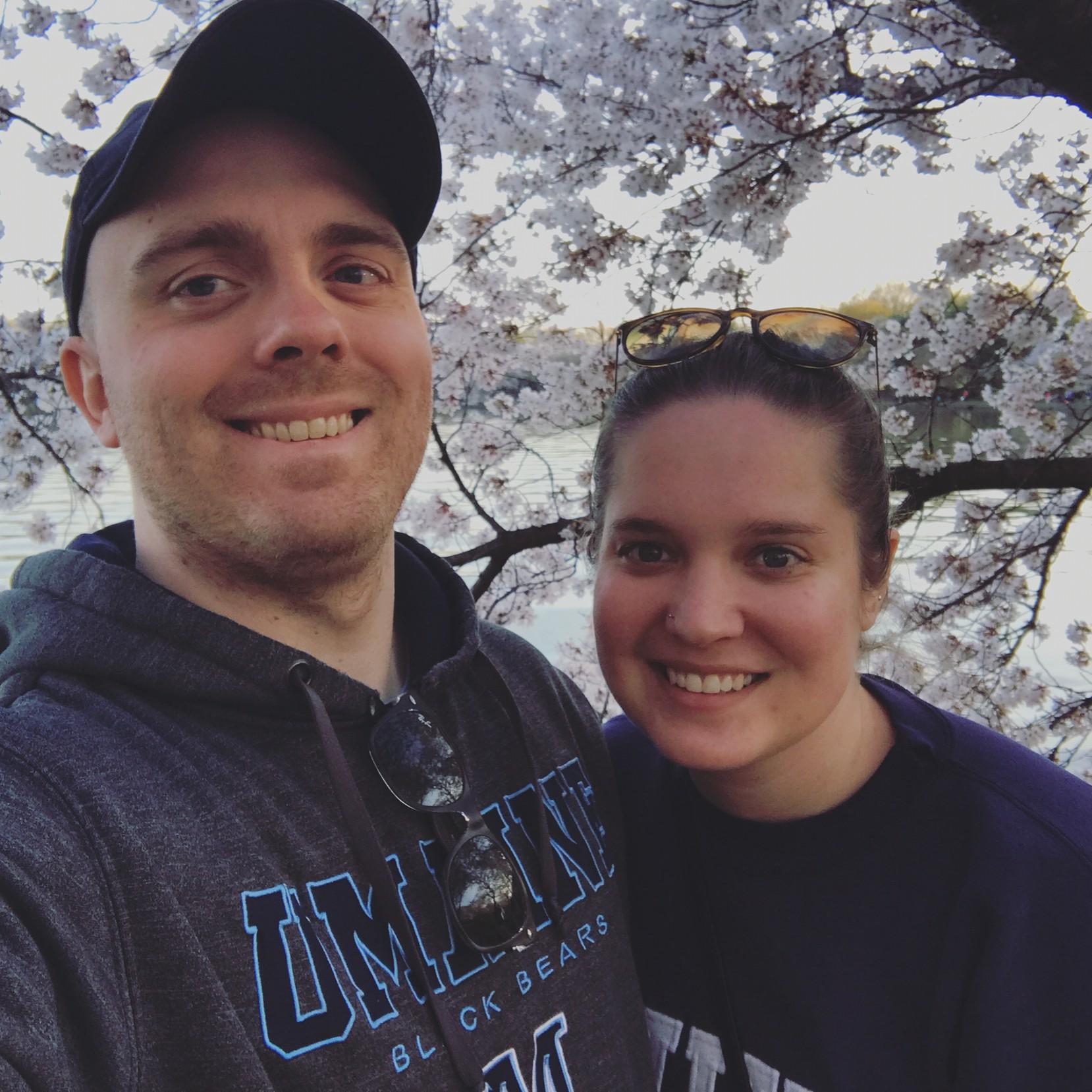 Cherry blossom fest, 2017