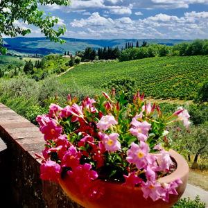 Tuscan Vineyard Tour & Tasting