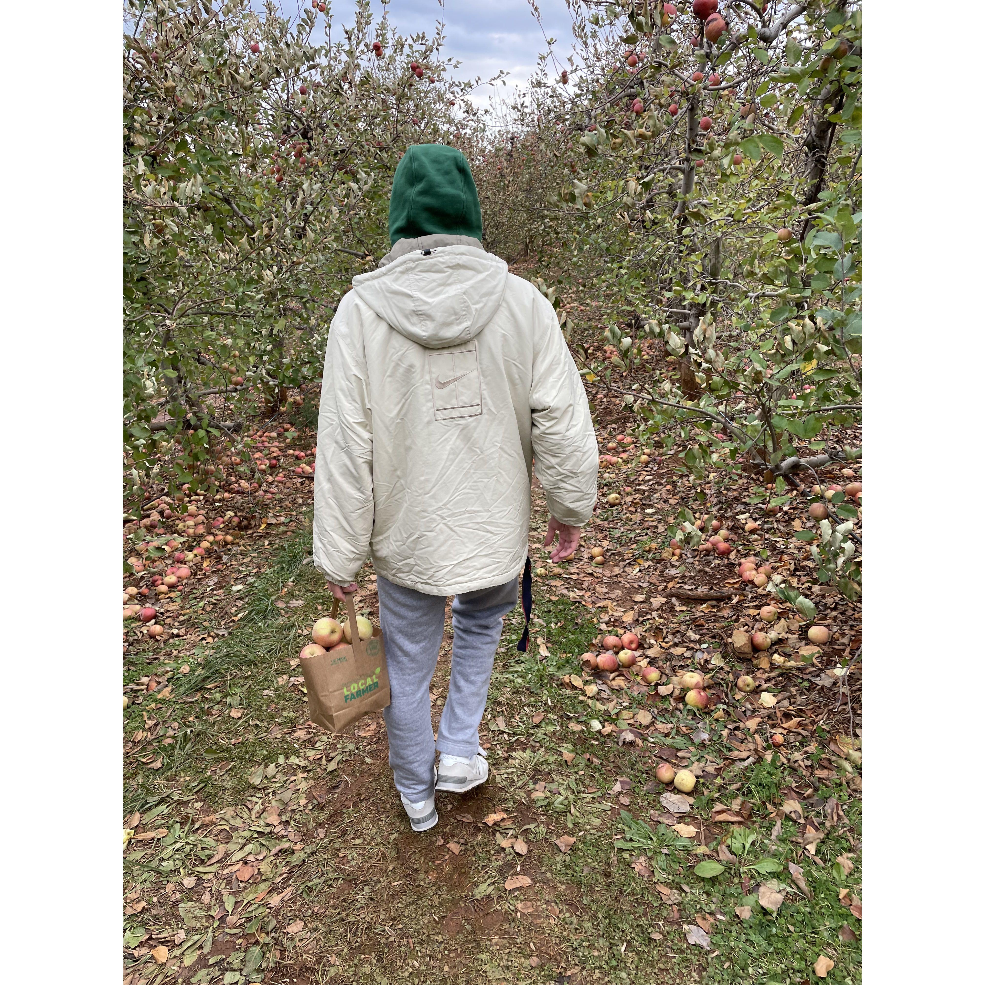 Pickin' apples!