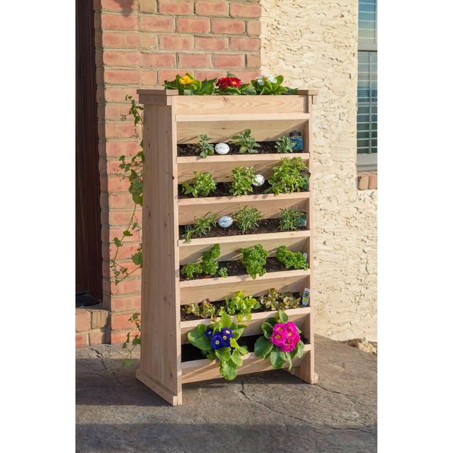 Vertical Indoor/Outdoor Garden Planter in Cedar