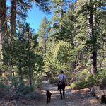 Hiking