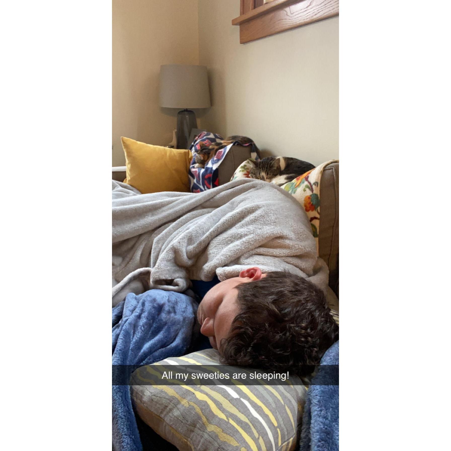 Lots of cat naps