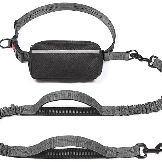 iYoShop Hands Free Dog Leash with Zipper Pouch, Dual Padded Handles and Durable Bungee for Walking, Jogging and Running Your Dog (Large, 25-120 lbs, Grey)