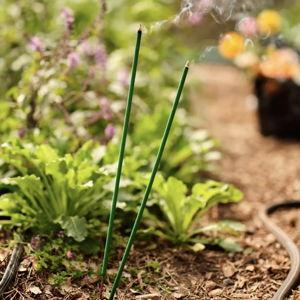 Citronella Garden Sticks