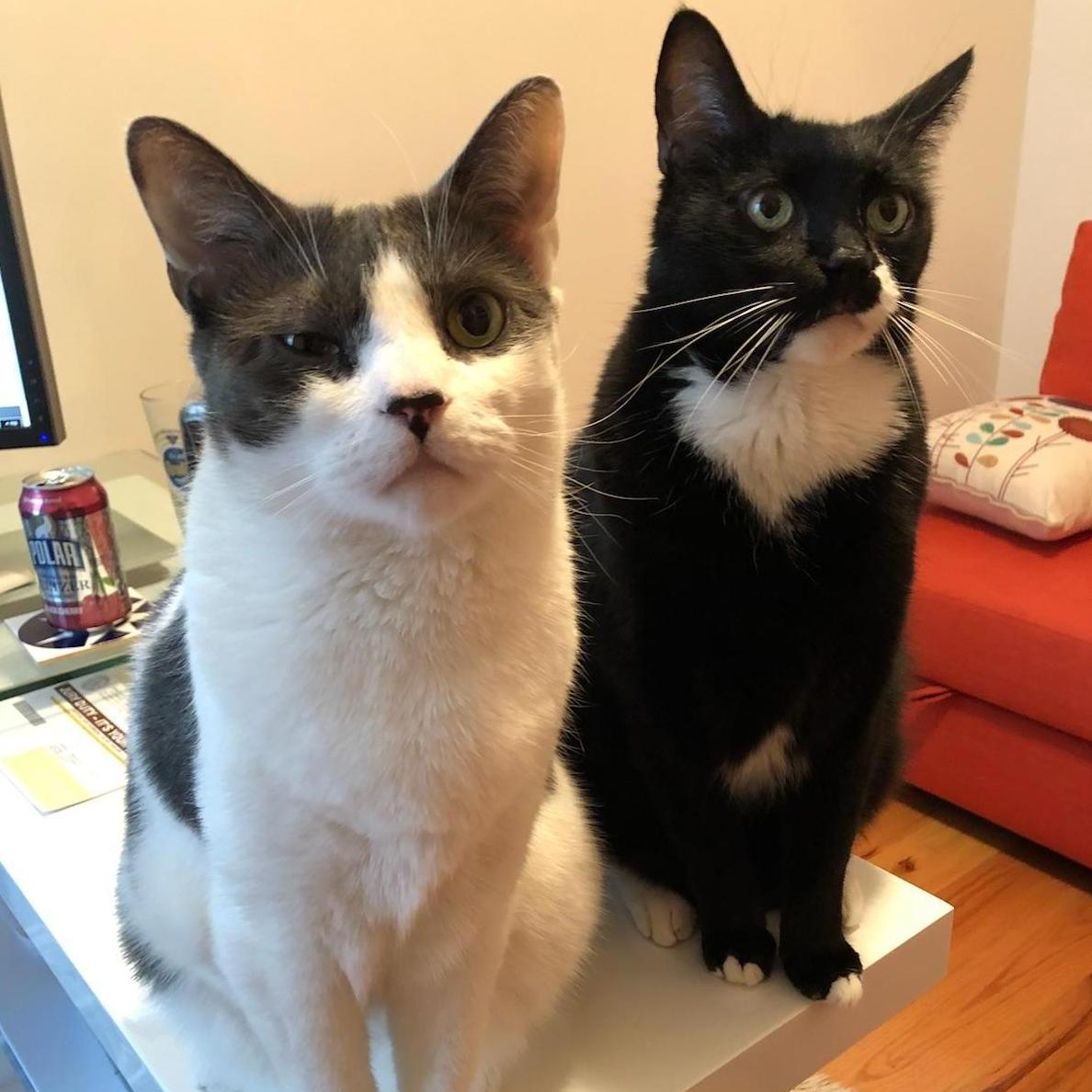 "Why are you not giving us snacks??"