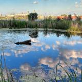 Wetlands County Park