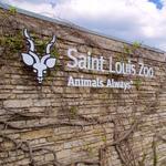 Saint Louis Zoo
