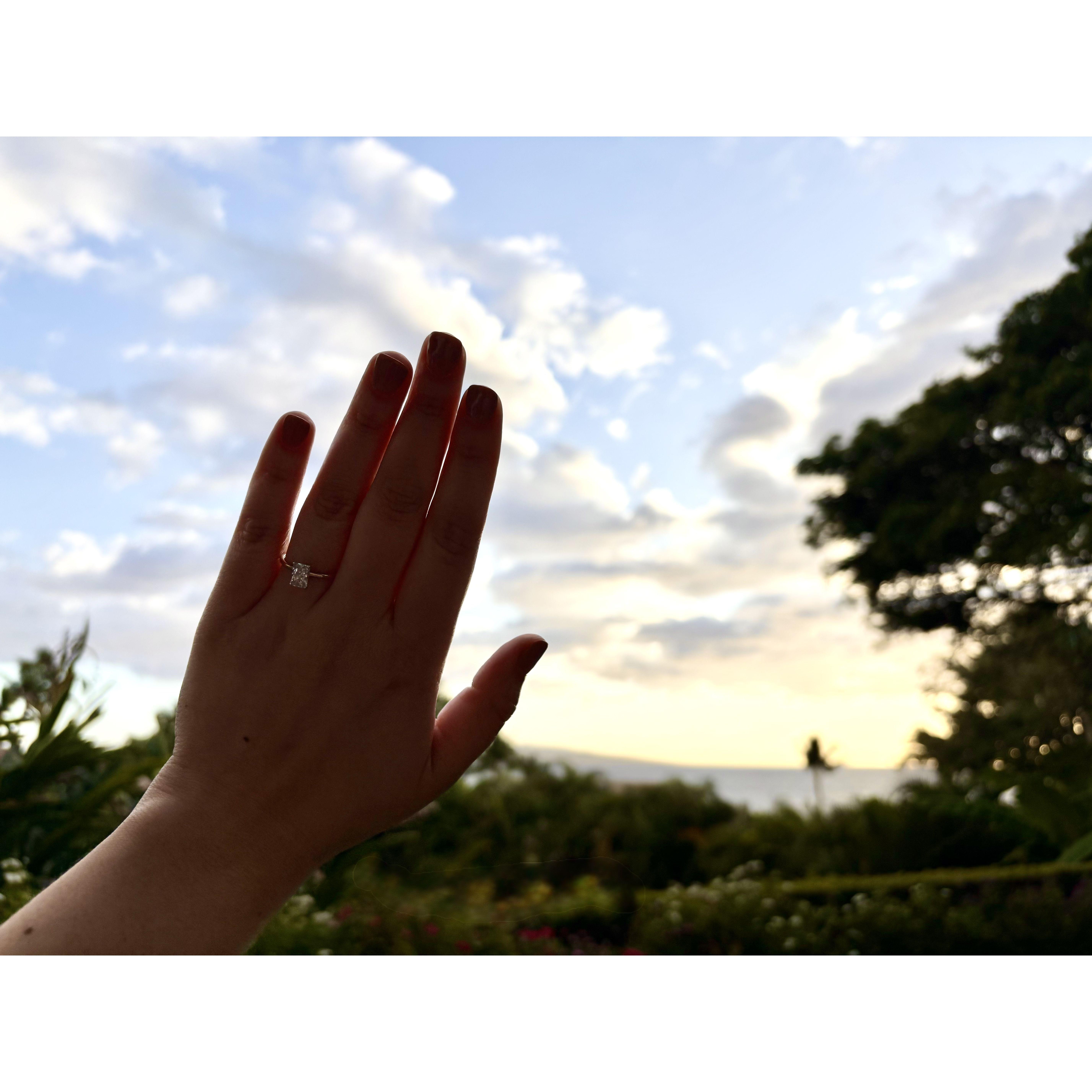 What started as a vacation ended with a ‘yes!’
Lo que empezó como vacaciones terminó con un ‘sí’.